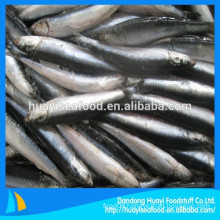New Landing Fresh Frozen Anchovy For Fish Meal
